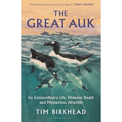 Afbeelding van The Great Auk