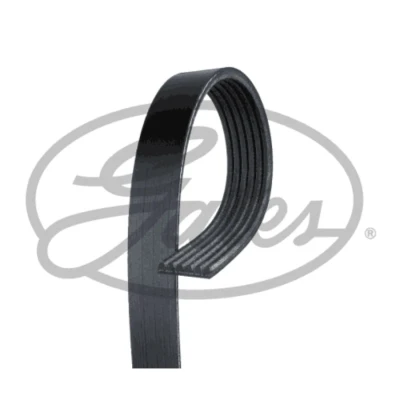 Image de Courroie trapézoïdale à nervures gates 6pk1580xs