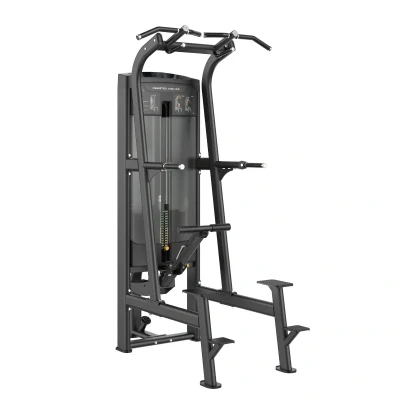 Afbeelding van Toorx Professional ABSOLUTE Assist Pull up/Dip PLX 8400