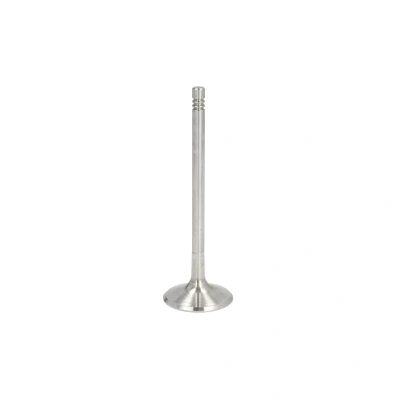Afbeelding van Inlaatklep FRECCIA R6206/S