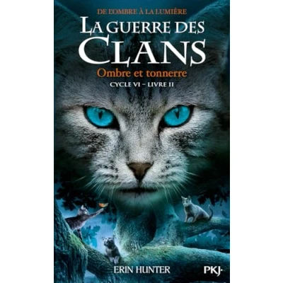 Afbeelding van ISBN 9782266314381 boek Frans Paperback 448 pagina&#039;s