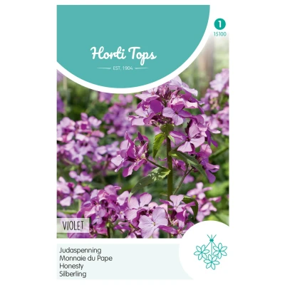 Afbeelding van Lunaria Annua Biennis Violet Judaspenning Hortitops