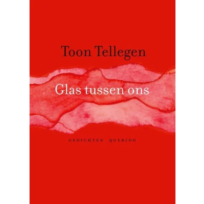 Afbeelding van Glas tussen ons