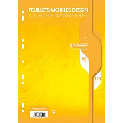 Afbeelding van 7000, beweegbare bladen teken/film, 21 x 29,7 cm, 80p/100p, 120 g 80 pages