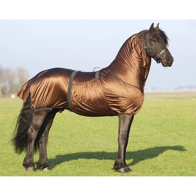 Image de QHP Eczema rug Big Neck