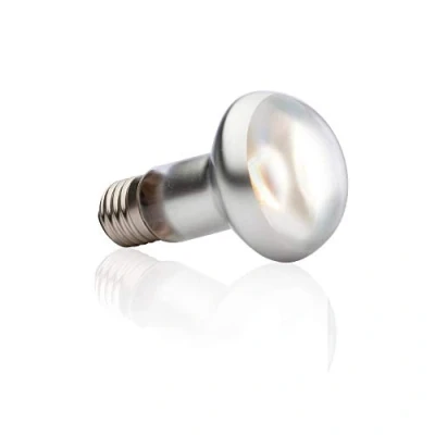 Image de Exo Terra Intense Basking Spot Lumière du jour Lampe Chaleur 50W