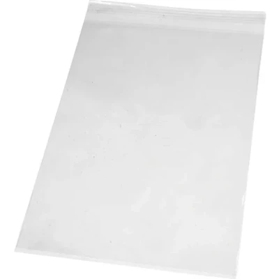 Afbeelding van Cellofaan Zakjes, H: 31,2 cm, B: 22,5 25 my, 200 Stuk