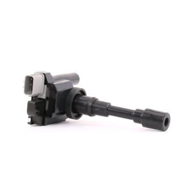 Afbeelding van Bobine DELPHI GN10318 12B1