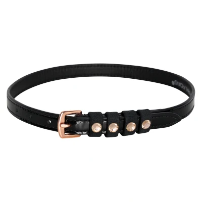 Image de Spur strap leather Pardouz