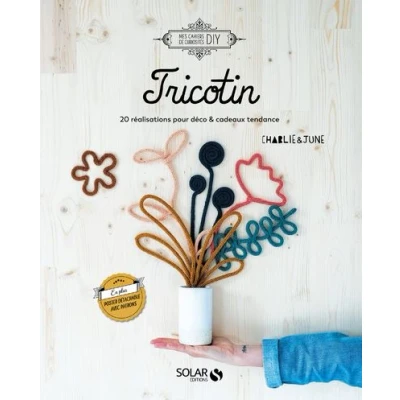 Image de Tricotin 20 réalisations pour déco &amp; cadeaux tendance
