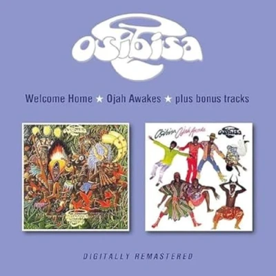 Afbeelding van Welcome home/Ojah awake
