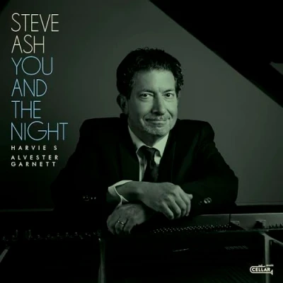 Afbeelding van You and the Night