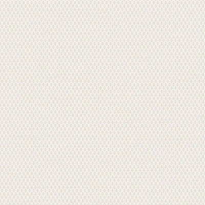 Afbeelding van Dutch Wallcoverings Tapestry Loop Plain Off White TP422801