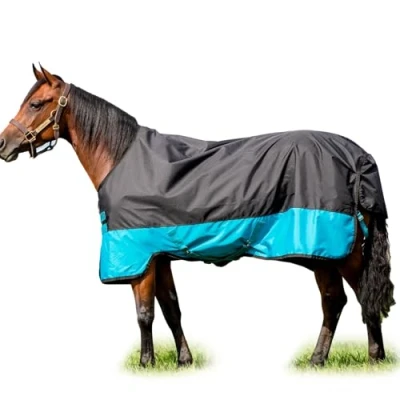 Image de Mio Turnout Medium 200g Noir/Turquoise 130/183