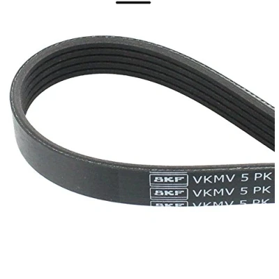 Afbeelding van Skf Poly V riem VKMV 5PK1010