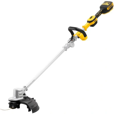 Image de DeWalt DCMST561P1 QW