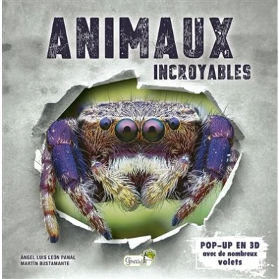 Image de Animaux incroyables