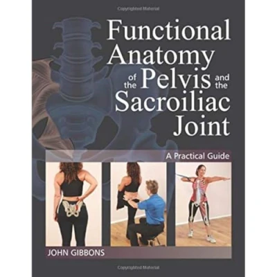 Afbeelding van Functional Anatomy of the Pelvis and Sacroiliac Joint