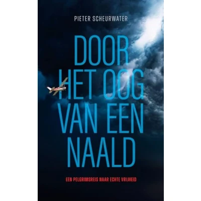 Afbeelding van Door het oog van een naald