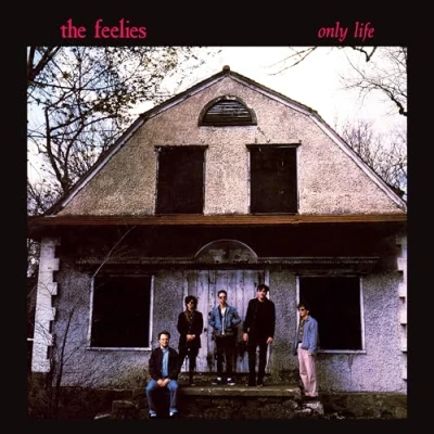 Afbeelding van The Feelies Only Life (LP)