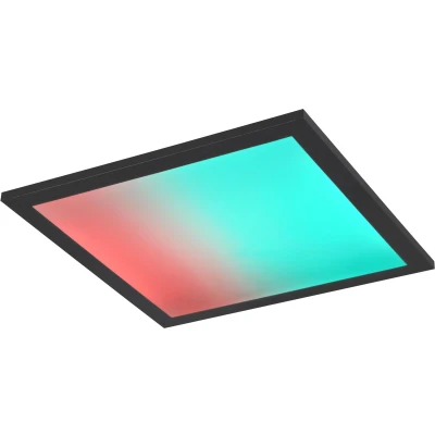 Afbeelding van REALITY BETA Plafondlamp Zwart mat incl. 1x SMD 13W Geintegreerde dimmer Afstandsbediening