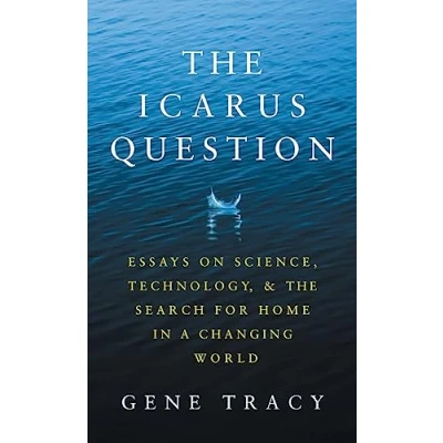 Afbeelding van The Icarus Question
