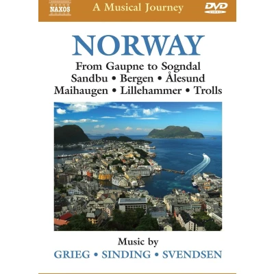 Afbeelding van Various Artists A Musical Journey: Norway: From Gaupne To Sogndal (DVD)