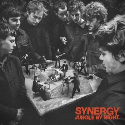 Afbeelding van Jungle By Night Synergy (CD)