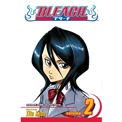 Afbeelding van Bleach Vol 2