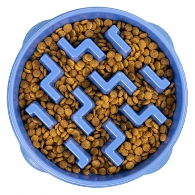 Afbeelding van Outward Hound Fun Feeder Slo Bowl Voerbak Blauw Kleurloos Hondenartikelen