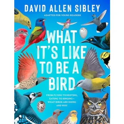 Afbeelding van What It&#039;s Like to Be a Bird