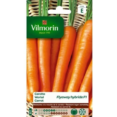 Afbeelding van Wortel Fly Away Daucus carota