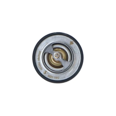 Afbeelding van Thermostaat, koelvloeistof NRF 725131