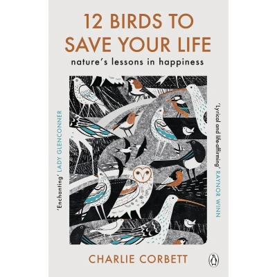 Afbeelding van 12 Birds to Save Your Life