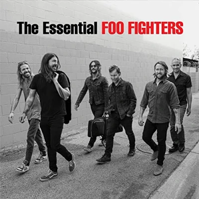 Afbeelding van Foo Fighters The Essential (2 LPs)