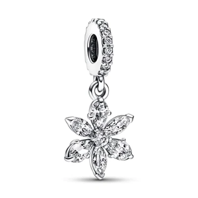 Afbeelding van Pandora Timeless 925 Sterling Zilveren Sparkling Herbarium Cluster Bedel 792382C01