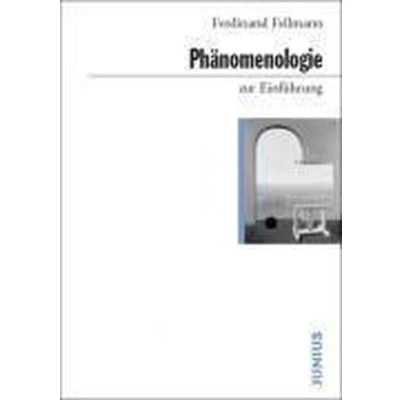 Afbeelding van Phänomenologie zur Einführung