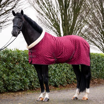 Image de HB Showtime Couverture de Concours Velvet Spring Bordeaux 165/215