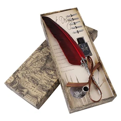 Afbeelding van Dip pen met ganzenveer, 0,5 mm, penseelpen geslepen als antiek uitvoerend cadeau (lege inktfles) (rood)