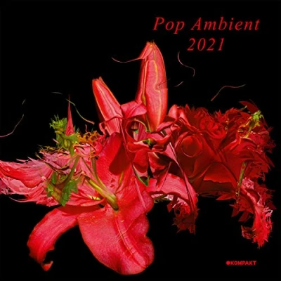 Afbeelding van Pop Ambient 2021