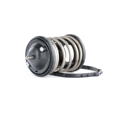 Afbeelding van Gates Thermostaat TH47487G1