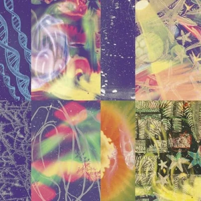 Afbeelding van Nap Eyes The Neon Gate (CD)