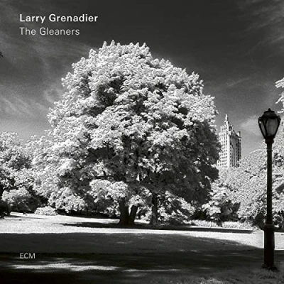 Afbeelding van Larry Grenadier The Gleaners (CD)