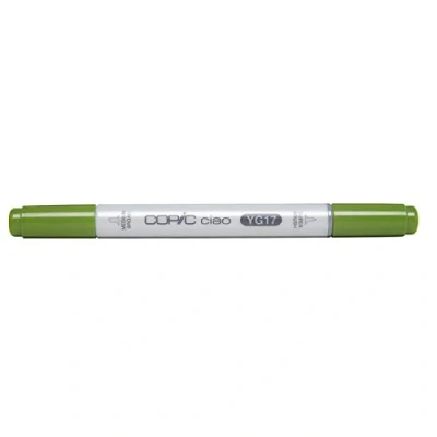 Afbeelding van COPIC Ciao YG17, Grass Green, Twin Marker met medium brede punt en penseelpunt