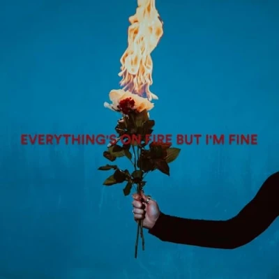 Afbeelding van As December Falls Everything&#039;s On Fire But I&#039;m Fine (LP)