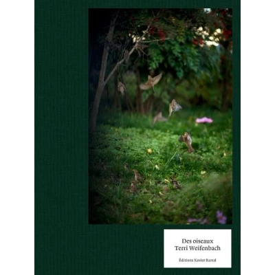 Image de Des Oiseaux Terri Weifenbach version anglaise
