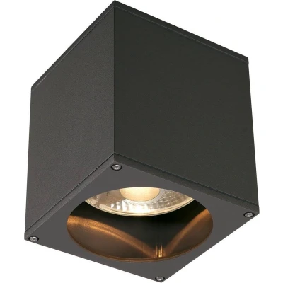 Afbeelding van SLV 229555 Big Theo Buitenplafondlamp Halogeen, LED GU10 75 W Antraciet
