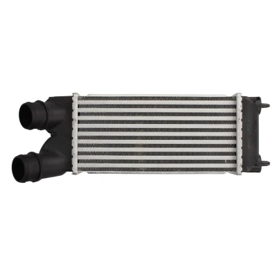 Afbeelding van THERMOTEC DAC015TT Intercooler CITROËN: Berlingo / First I Van