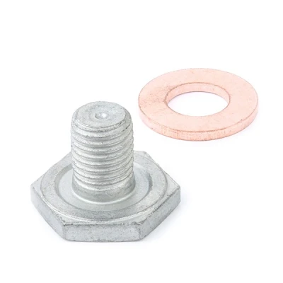 Afbeelding van Vaico Olie aftapplug / carterplug V42 0258