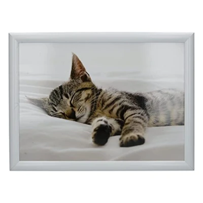 Afbeelding van Laptray Sleeping Kitten, slapend poes